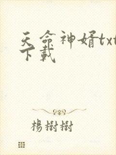 天命神婿txt下载