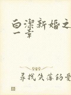 白洁新婚之夜第一章