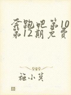 奔跑吧第10季第12期免费观看完整版封面