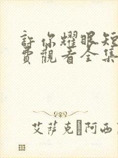 许你耀眼短剧免费观看全集