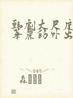 韩剧大尺度电影华丽的外出在线播放