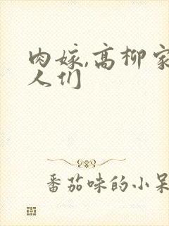 肉嫁,高柳家的人们