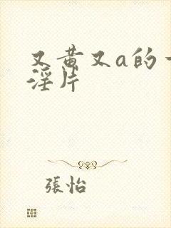 又黄又a的一级淫片