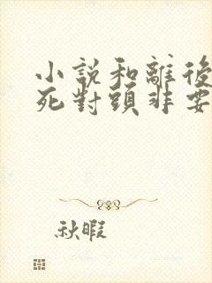 小说和离后前夫死对头非要娶我