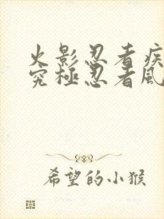 火影忍者疾风传究极忍者风暴4辅助