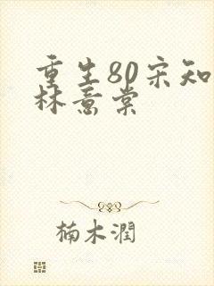 重生80宋知年林意棠