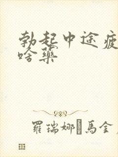 勃起中途疲软吃啥药