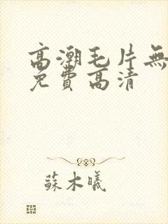 高潮毛片无遮挡免费高清封面