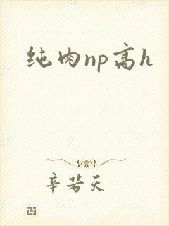 纯肉np高h
