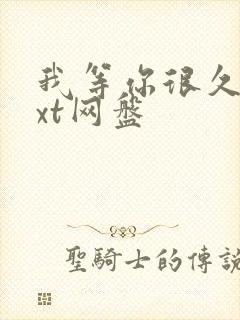 我等你很久了txt网盘