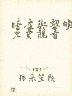 暗夜与黎明全集免费观看封面