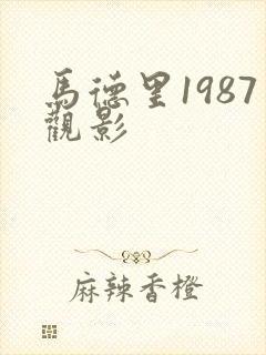 马德里1987观影