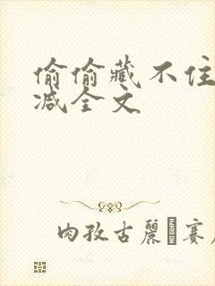 偷偷藏不住未删减全文