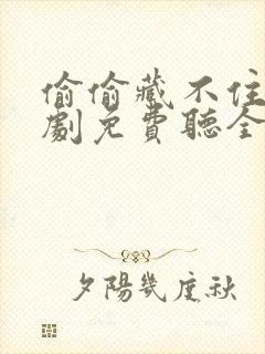 偷偷藏不住广播剧免费听全集封面