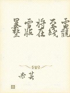 暴雪将至电影完整版在线观看