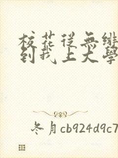 校花从无绯闻直到我上大学小说免费下载