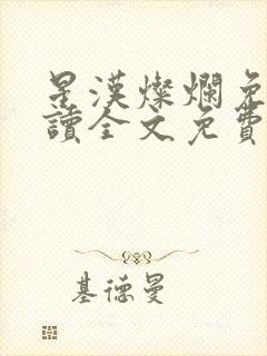 星汉灿烂免费阅读全文免费阅读正版封面