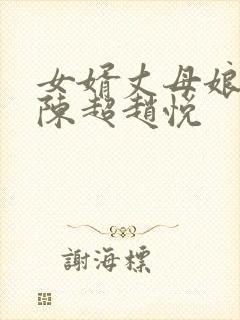 女婿丈母娘小说陈超赵悦