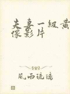 夫妻一级黄色录像影片