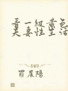 看一级黄色录像夫妻性生活片