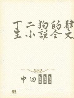 丁二狗的肆意人生小说全文下载封面