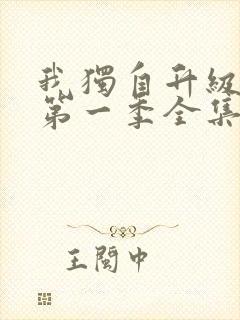 我独自升级动漫第一季全集免费观看