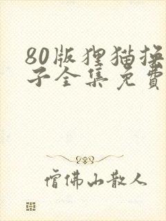 80版狸猫换太子全集免费