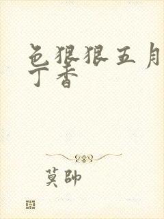 色狠狠五月婷婷丁香封面