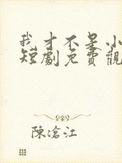 我才不是小可怜短剧免费观看全集