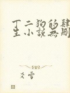 丁二狗的肆意人生小说无删减txt