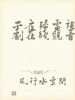 子夜归电视连续剧在线观看