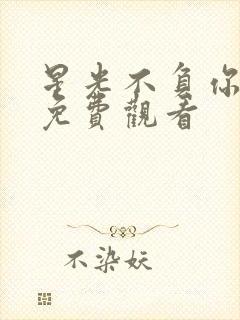 星光不负你短剧免费观看