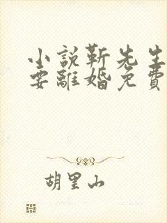 小说靳先生,我要离婚免费阅读全本封面