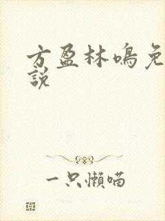 方盈林鸣免费小说封面