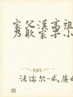 家父汉高祖,吾乃败家子小说txt下载封面