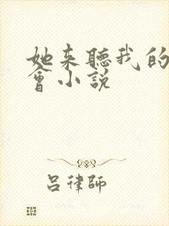 她来听我的演唱会小说