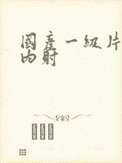 国产一级片无套内射