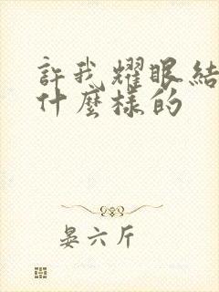 许我耀眼结局是什么样的