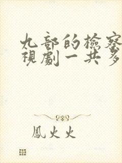 九部的检察官电视剧一共多少集