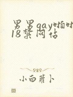 男男gay啪啪18禁网站