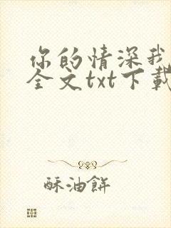 你的情深我不配全文txt下载