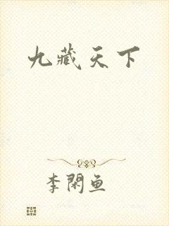 九藏天下