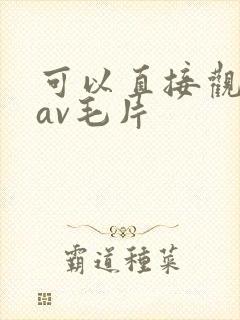 可以直接观看的av毛片