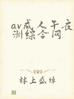 av成人午夜亚洲综合网
