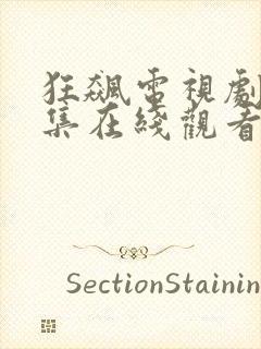 狂飙电视剧40集在线观看免费狂飙龙腾封面