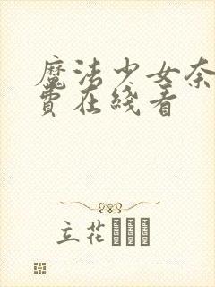 魔法少女奈叶免费在线看