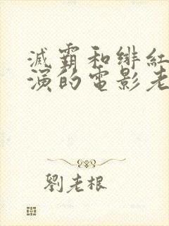 灭霸和绯红女巫演的电影老男孩