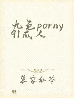 九色porny91成人封面