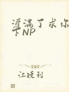 灌满了求你们停下NP