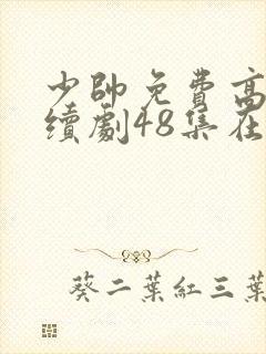 少帅免费高清连续剧48集在线观看